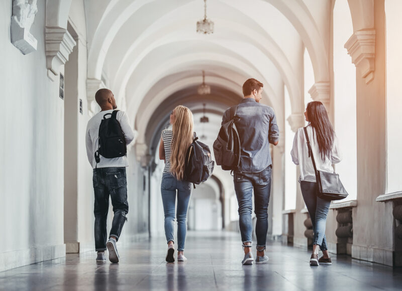 Decidir qué estudiar para trabajar